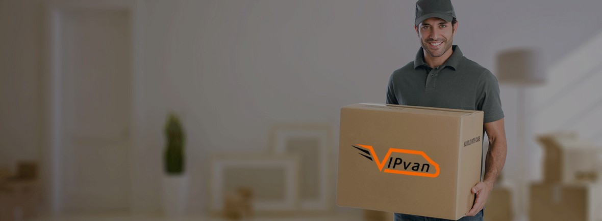 VIPVAN mover carrying a moving box